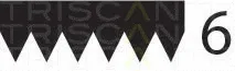 Triscan 8640601173 — V-Ribbed Belt