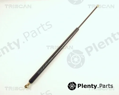 Triscan 871038201 — Gas Spring, boot/cargo area