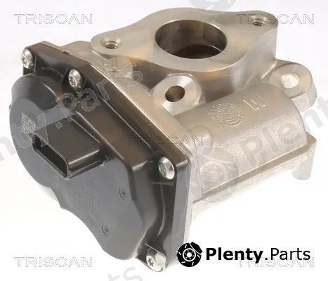 Triscan 881310055 — EGR Valve