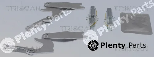 Triscan 8105272584 — Repair Kit, expander