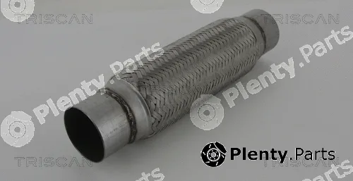 Triscan 700010004 — Flexible Pipe, exhaust system