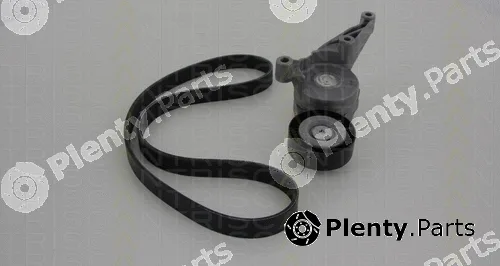 Triscan 864229001 — V-Ribbed Belt Set