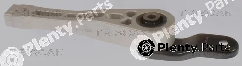 Triscan 850529109 — Mounting, engine