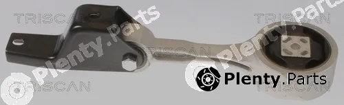 Triscan 850529156 — Mounting, engine