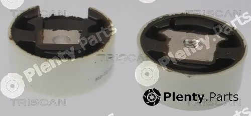 Triscan 850529188 — Mounting, engine