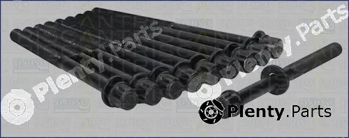 Triscan 98-3001 — Cylinder Head Bolt Set