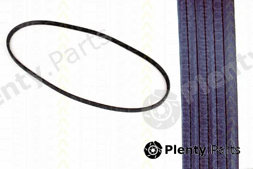 Triscan 8640101088 — V-Belt