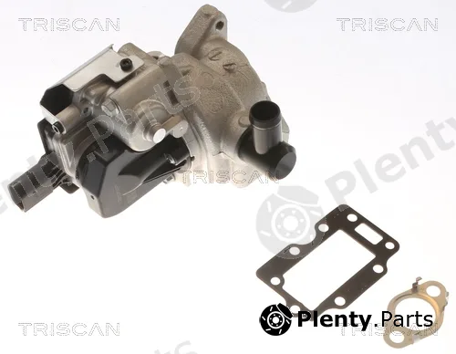 Triscan 881343054 — EGR Valve