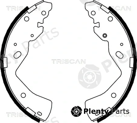 Triscan 810010018 — Brake Shoe Set