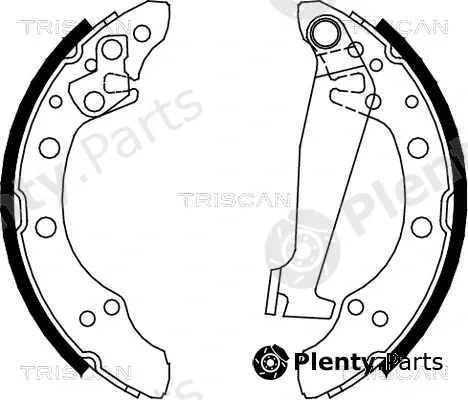 Triscan 810010520 — Brake Shoe Set