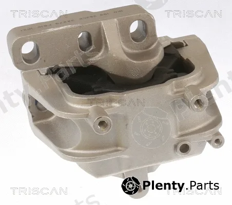 Triscan 850529145 — Mounting, engine