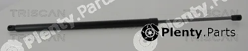 Triscan 871016272 — Gas Spring, boot/cargo area