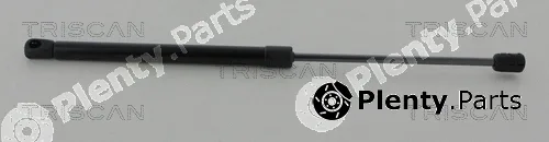 Triscan 871015255 — Gas Spring, boot/cargo area