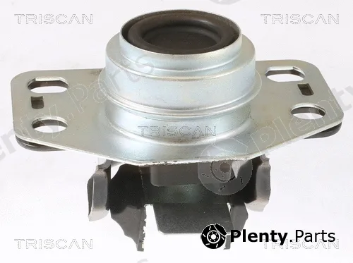 Triscan 850525107 — Mounting, engine