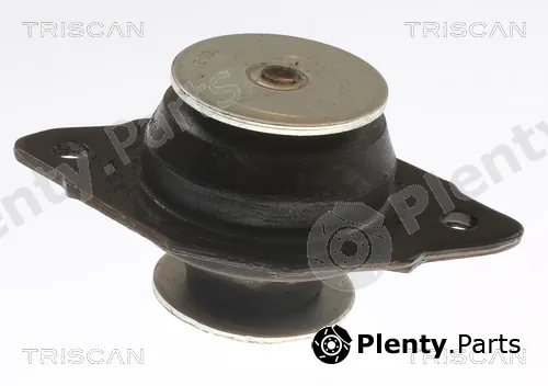 Triscan 850529144 — Mounting, engine