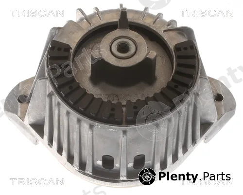 Triscan 850523107 — Mounting, engine