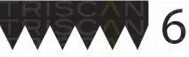 Triscan 8640601113 — V-Ribbed Belt