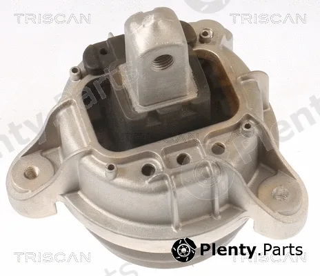 Triscan 850511116 — Mounting, engine
