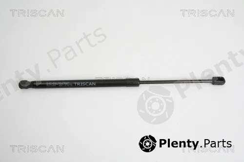 Triscan 871010207 — Gas Spring, boot/cargo area