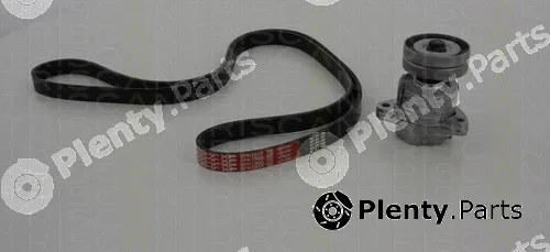 Triscan 864210006 — V-Ribbed Belt Set