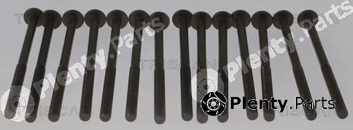 Triscan 98-1014 — Cylinder Head Bolt Set