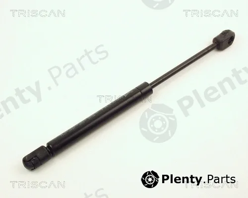 Triscan 87101007 — Gas Spring, boot/cargo area