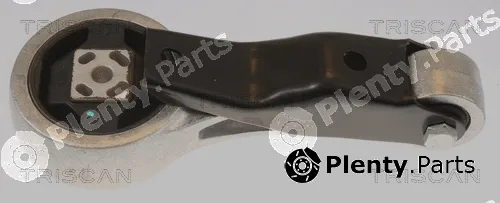 Triscan 850529180 — Mounting, engine