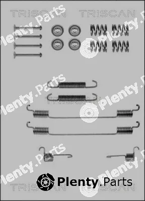 Triscan 8105152549 — Accessory Kit, brake shoes