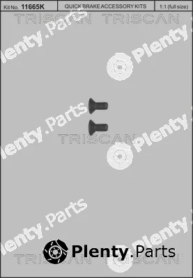 Triscan 8105116006 — Screw Set, brake disc