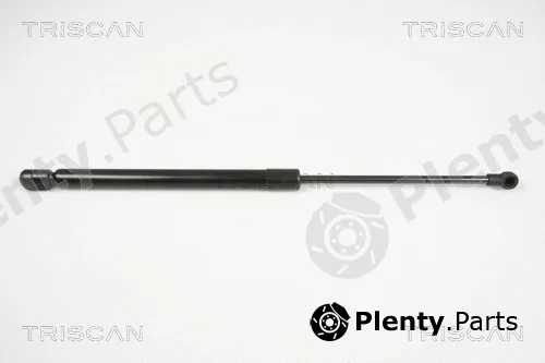 Triscan 871029281 — Gas Spring, boot/cargo area