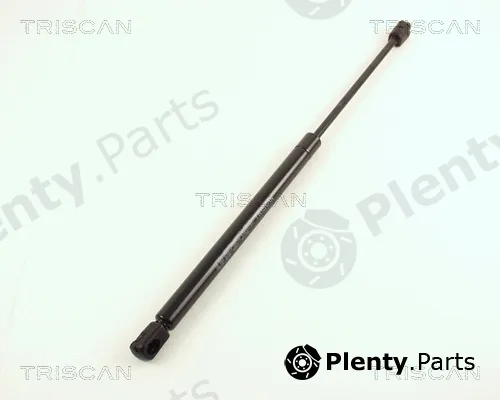 Triscan 871038216 — Gas Spring, boot/cargo area