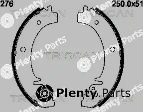 Triscan 810070276 — Brake Shoe Set