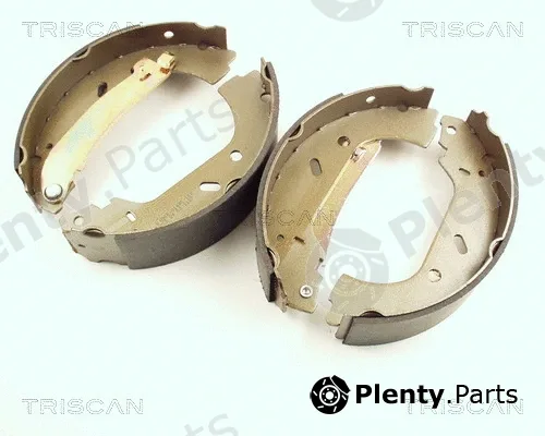 Triscan 810010004 — Brake Shoe Set