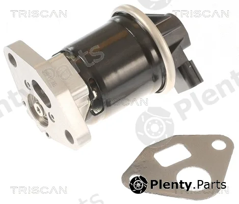 Triscan 881340002 — EGR Valve