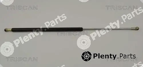 Triscan 87102413 — Gas Spring, boot/cargo area