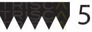 Triscan 8640501790 — V-Ribbed Belt