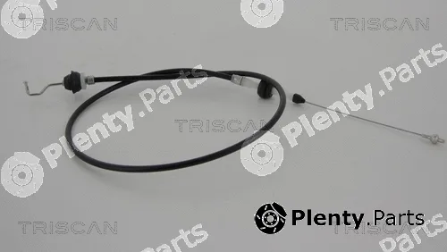 Triscan 814067307 — Accelerator Cable