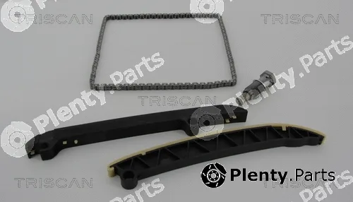Triscan 865029010 — Timing Chain Kit