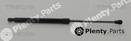 Triscan 871011242 — Gas Spring, boot/cargo area