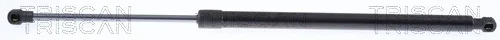 Triscan 871014261 — Gas Spring, boot/cargo area