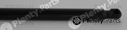 Triscan 8710292102 — Gas Spring, boot/cargo area