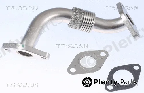 Triscan 881129104 — Pipe, EGR valve