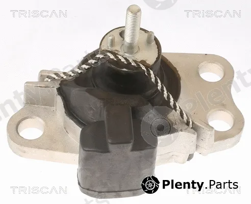 Triscan 850525100 — Mounting, engine