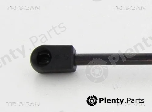 Triscan 871016265 — Gas Spring, boot/cargo area