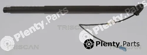 Triscan 871011312 — Gas Spring, boot/cargo area