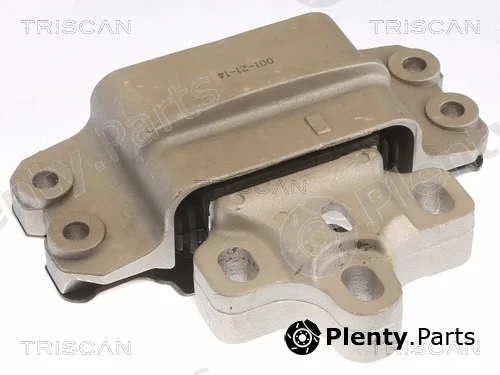 Triscan 850529192 — Mounting, engine