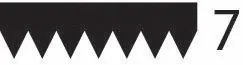 Triscan 8640701620 — V-Ribbed Belt