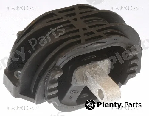 Triscan 850511207 — Mounting, automatic transmission
