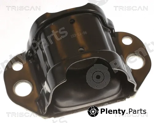 Triscan 850510117 — Mounting, engine