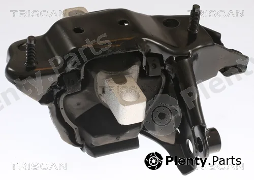 Triscan 850529104 — Mounting, engine